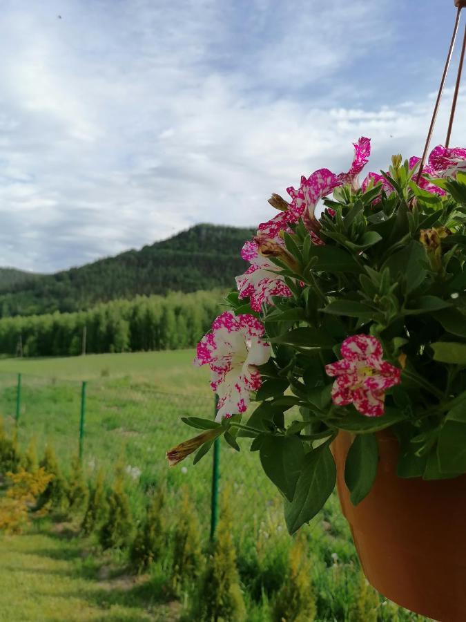 Pod Derkaczem Domek alpejski Radkow