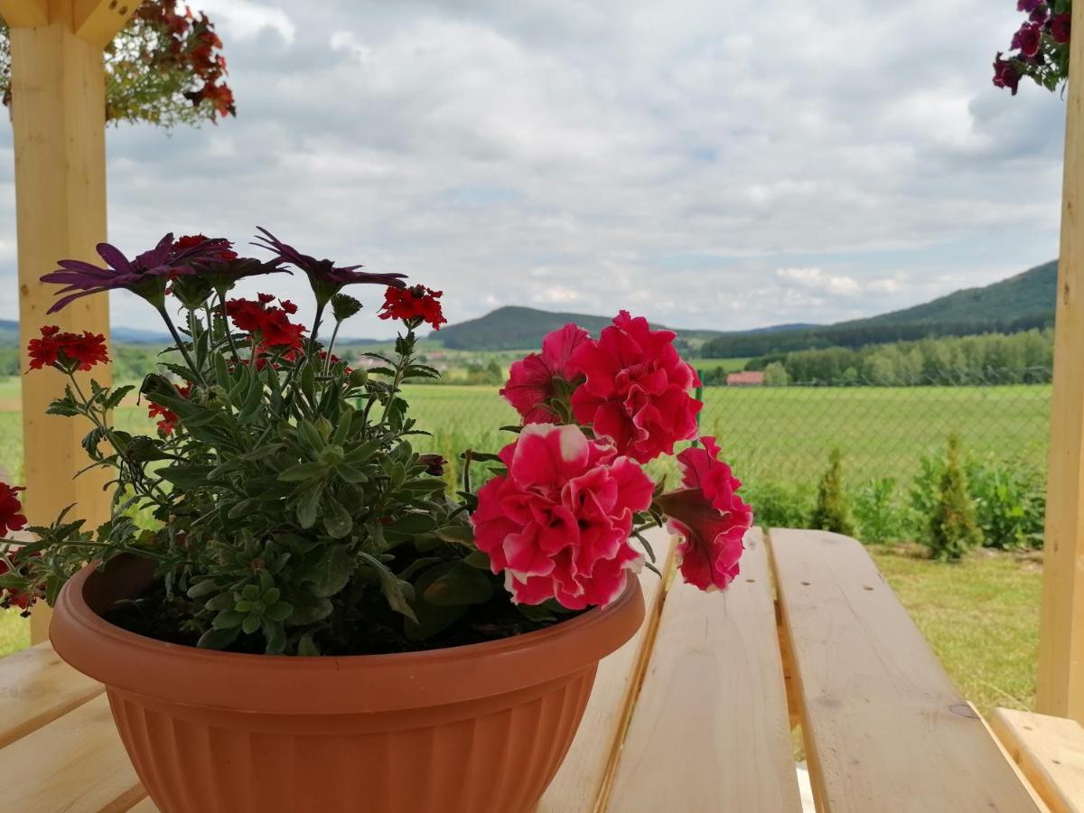 Domek alpejski Pod Derkaczem Radkow